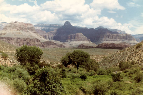 This is what I'm talking about when I say nature.